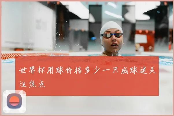 世界杯用球价格多少一只成球迷关注焦点