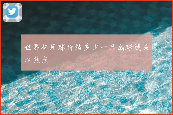 世界杯用球价格多少一只成球迷关注焦点