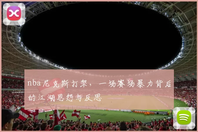 nba尼克斯打架，一场赛场暴力背后的江湖恩怨与反思